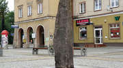 Co ty wiesz o Prusach [QUIZ]