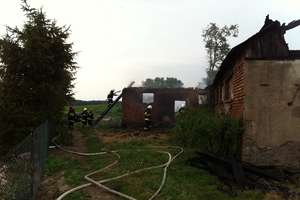  360 świń spłonęło w pożarze w Lasecznie 