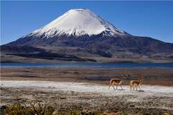 Prowincja Parinacota z malowniczym wulkanem