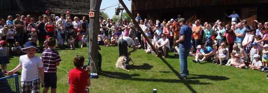 Jarmark Sztuki Nie Tylko Ludowej - Olsztynek 2013 