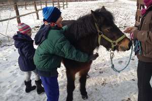 Przytulisko dla koni w Nowakowie zaprasza na dzień otwarty