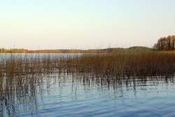Rezerwat Przyrody Jezioro Pogubie Wielkie