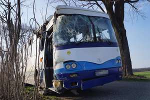 Szkolny autobus uderzył w drzewo. 10 dzieci w szpitalu