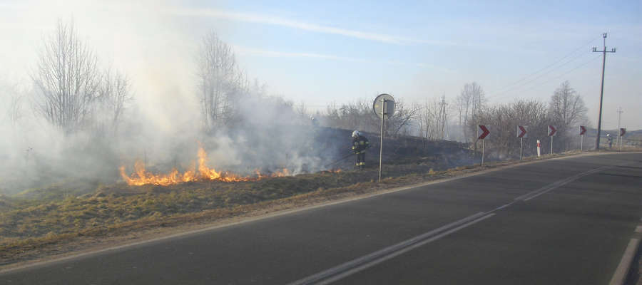 Pożar suchej trawy stwarzał zagrożenie dla kierowców podróżujących DK 57 w poblizu Bisztynka.