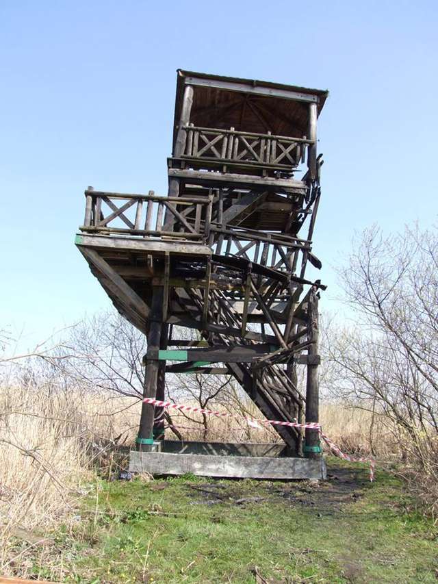 Wieża w Żółwińcu, stan po pożarze - full image