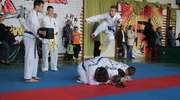 Zawodnicy taekwondo mieli bardzo pracowity weekend