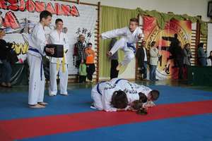 Zawodnicy taekwondo mieli bardzo pracowity weekend