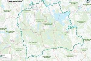 Leśny Kompleks Promocyjny Lasy Mazurskie