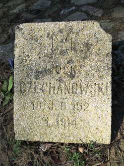 Jeden z ocalałych płyt na cmentarzu w Szkotowie: Czechanowski
