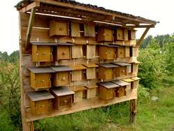 Wzorcowy domek dla pszczół w Meklemburgii (Niemcy)