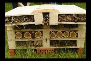 W Olsztynie jest już 9 hoteli dla pszczół