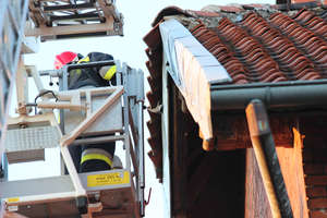 Gołąbek na dachu uwięziony pod dachówką. Pomogli strażacy