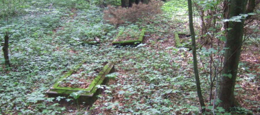 Cmentarz w Pieckowie