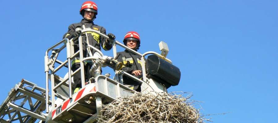W sobotę (31 maja) braniewscy strażacy interweniowali niosąc pomoc bocianowi