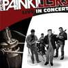 Koncert zespołu  The Painkillers