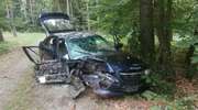 Rozbite auto porzucone w lesie nad Drwęckim