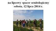 Lipcowy spacer ornitologiczny