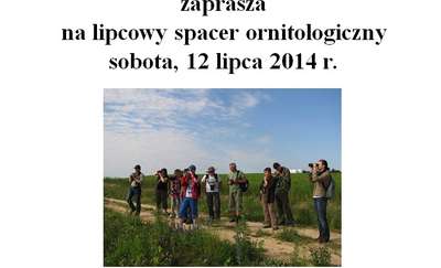 Lipcowy spacer ornitologiczny