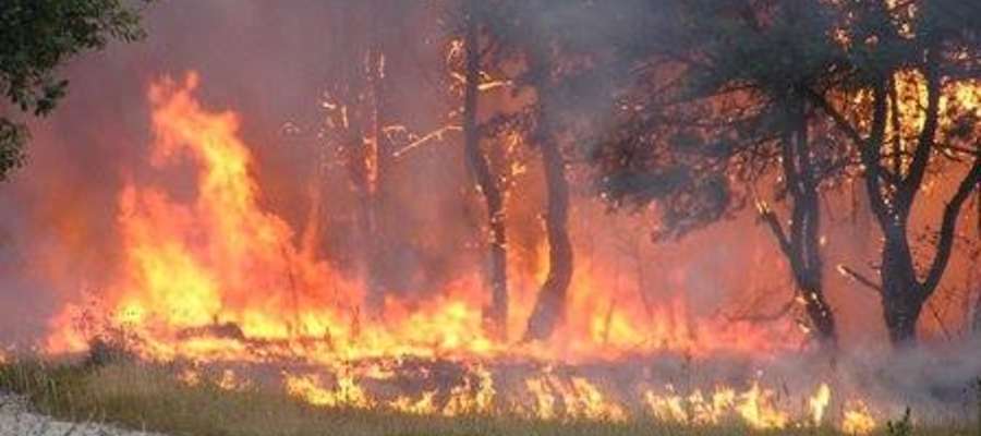 W poniedziałek (28 lipca) w leśnictwie Rząśnik, w okolicy miejscowości Odoje, gm.Orzysz palił się las