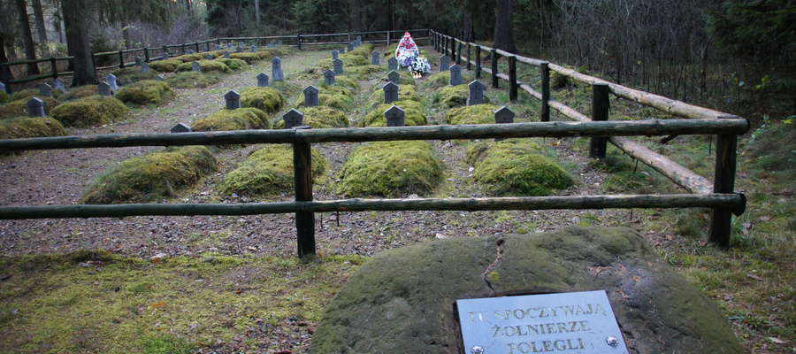 Cmentarz w Domajewie 