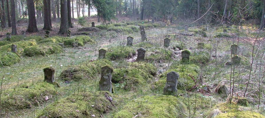  Cmentarz wojenny w Domajewie przed remontem (2006 r.)