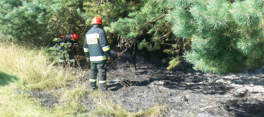 W Harszu spaliło się około 10 arów ściółki leśnej lasu prywatnego