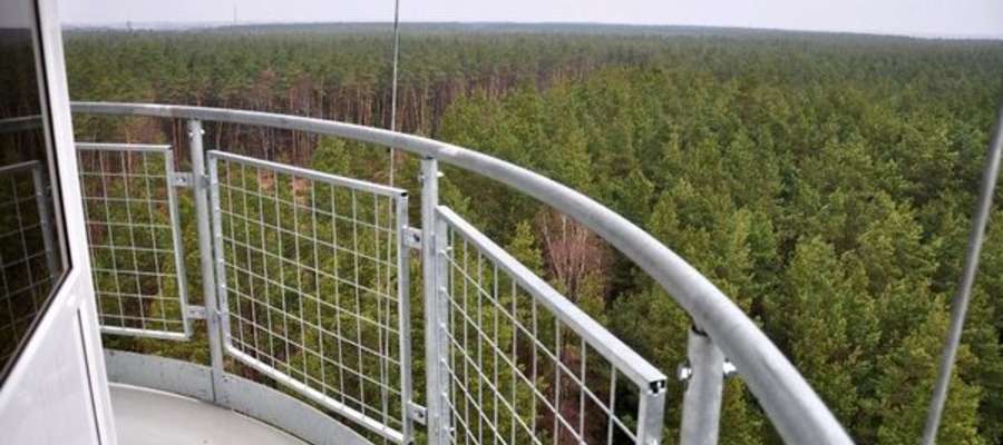 Lasy są monitorowane z 40 wież obserwacyjnych