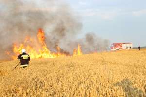 Spłonęło kilka hektarów pszenicy. Strażacy gasili z mieszkańcami