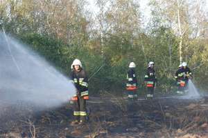 Ogień zaatakował las niedaleko zabudowań w Trzcinie