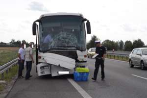 Autobus zderzył się z cysterną na S7 pod Elblągiem