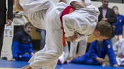 Srebrny judoka
