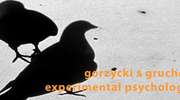 Gorzycki/Gruchot - Experimental Psychology