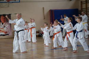 Karatecy z Iławy mogli się dużo nauczyć od mistrzów