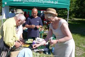 Hortifestiwal - czyli pamiętajmy o ogrodach