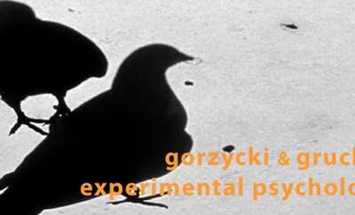Gorzycki/Gruchot - Experimental Psychology