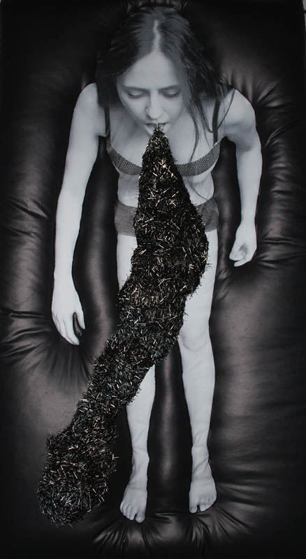 Martyna Jakubowska: „Motylki”. Płótno, fotografia, szpilki, łańcuch, sztuczna skóra, 200x100 cm, 2012