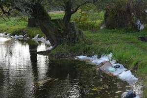 Rzeka Lega w Olecku pełna śmieci 