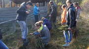 Miłośnicy przyrody z Lelkowa sadzili sosny 