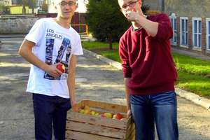 Ponad 7 ton jabłek dla szkoły 