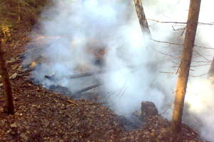 Pożar torfowiska w Połapinie