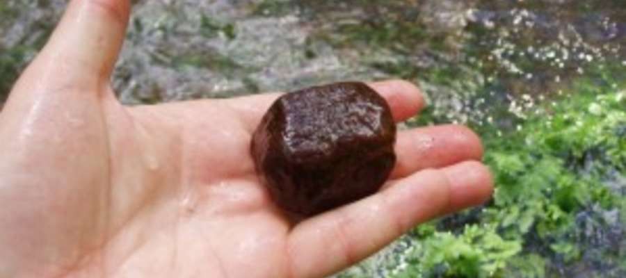 Kamień obrośnięty krasnorostem