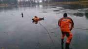 Kętrzyńscy strażacy uratowali psa, pod którym załamał się lód