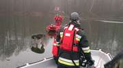 Udana akcja strażaków z Dąbrówna