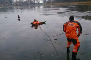 Kętrzyńscy strażacy uratowali psa, pod którym załamał się lód