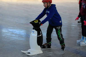Wymyśl imię dla pingwina i wygraj karnet na lodowisko