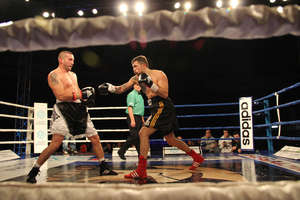 Spartan Boxing Night — gala boksu zawodowego w Uranii. Zdjęcia