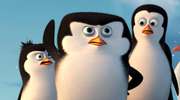 "Kowalski... opcje!" - "Pingwiny z Madagaskaru" w kinach od 30 stycznia
