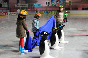 Pingwiny z lodowiska mają już swoje imiona