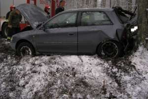MÓDŁKI. Audi A3 uderzyło tyłem w drzewo