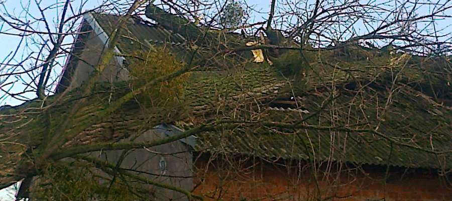 Wiatr przewrócił drzewo na sklep w Petrykozach